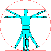 Human Range of motion